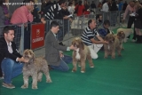 Exposicin Internacional de Torrepacheco 2010.