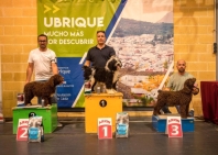 Nuevo Campeon ALANDALUS: INVICTUS DE LAS SIETE NUBES