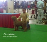 En la E.Internacional de Murcia 2010