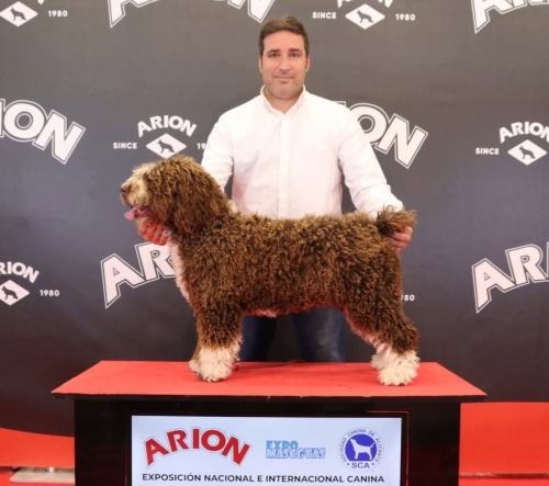 CAMPEONA JOVEN DE ESPAÑA  ISLA DE LAS SIETE NUBES 